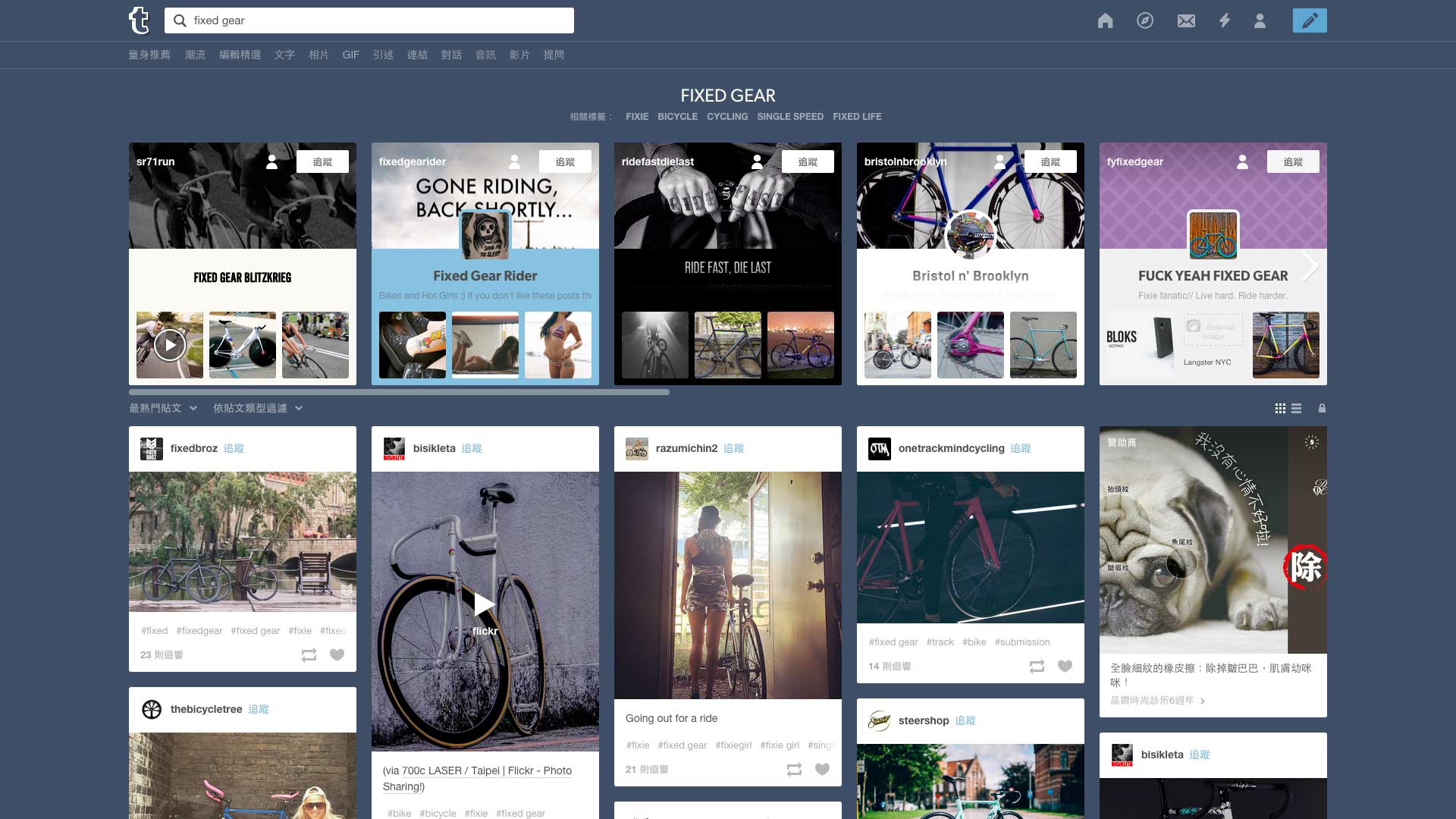 Tumblr 主題探索介面,擅長整合同類型的部落格內容給使用者